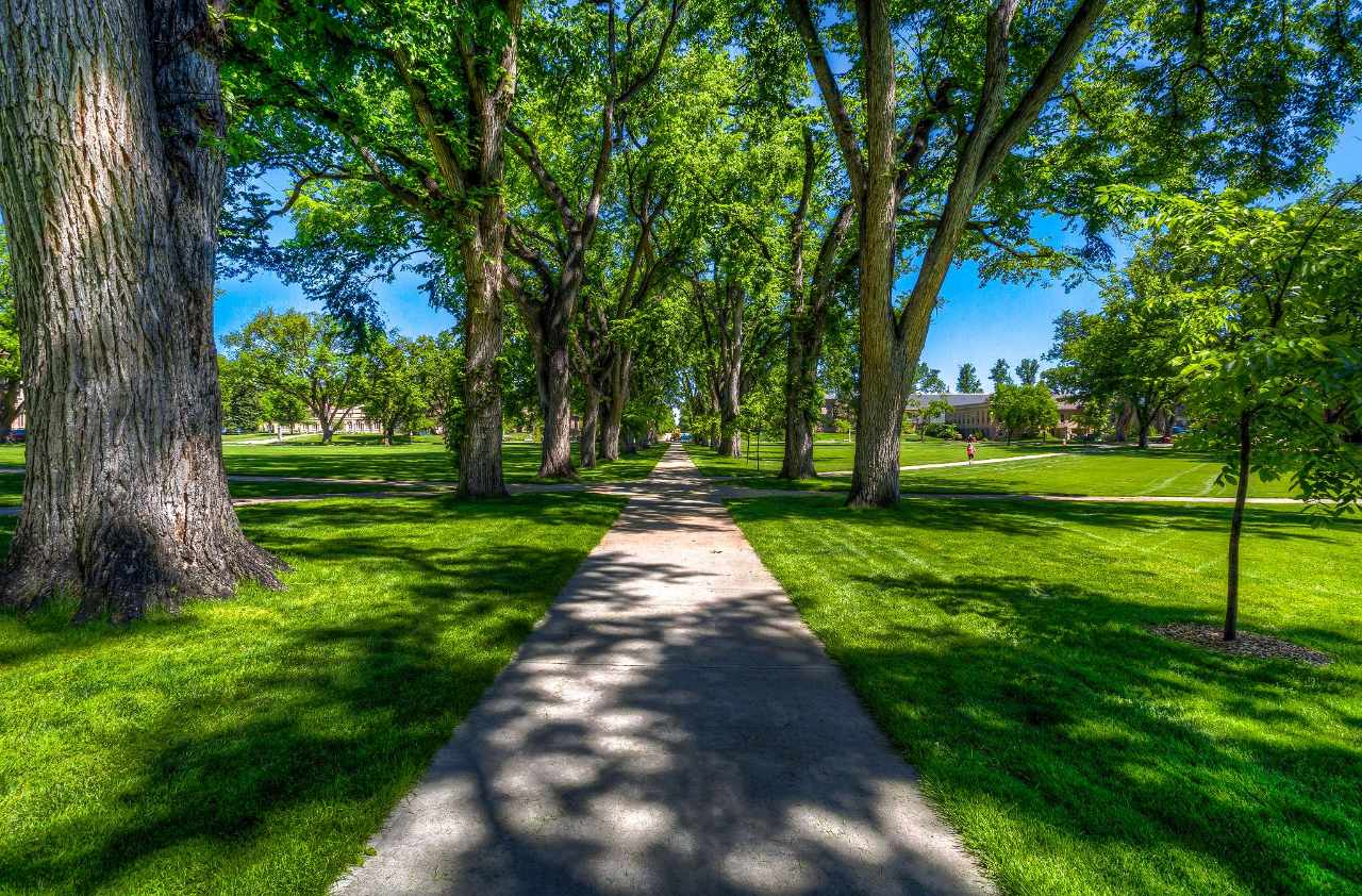 Virtual Tour For Colorado State University Fort Collins virtual-tour-for-colorado-state-university-fort-collins